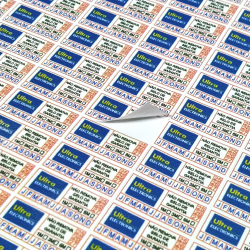 Adesivo Destrutível  Casca de Ovo - 2 X 1 cm - DE002